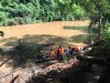 Tăng cường công tác quản lý bảo vệ rừng mùa mưa tại Ban Quản lý rừng phòng hộ Đăk Mai