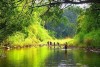 Kế hoạch thu, chi tiền dịch vụ môi trường rừng năm 2024 trên địa bàn tỉnh Bình Phước
