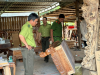 Lộc Ninh: Kiểm tra, truy xuất nguồn gốc lâm sản trên địa bàn huyện