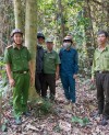 Tăng cường công tác phối hợp tuần tra, kiểm tra rừng