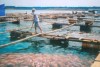 Phê duyệt chương trình phát triển thủy sản trên địa bàn Bình Phước đến năm 2030