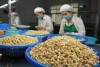 Triển khai chỉ dẫn đăng ký doanh nghiệp sản xuất thực phẩm xuất khẩu vào Trung Quốc đáp ứng quy định Lệnh 248