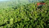 Tăng cường các biện pháp bảo vệ rừng