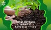 Phát động trồng cây “Đời đời nhớ ơn Bác Hồ” năm 2023