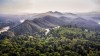 Công bố hiện trạng rừng toàn quốc năm 2022