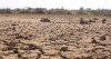 Ứng phó với hạn hán xảy ra trên diện rộng trong mùa khô năm 2024
