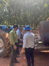 Thanh tra việc chấp hành các quy định pháp luật về phòng cháy và chữa cháy (PCCC) rừng trên địa bàn tỉnh Bình Phước.