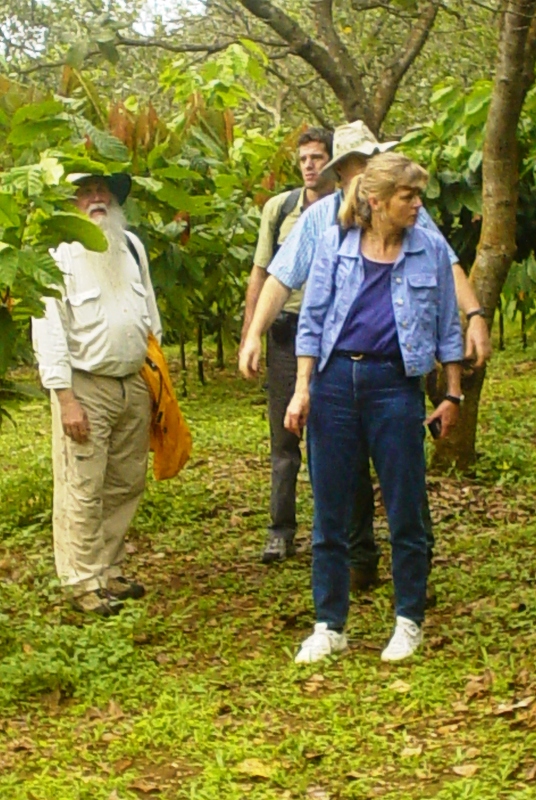 Mô hình trồng xen cacao trong vườn điều, với sự tham gia hợp tác của tổ chức nước ngoài, góp phần tăng thu nhập trên diện tích điều của nông hộ