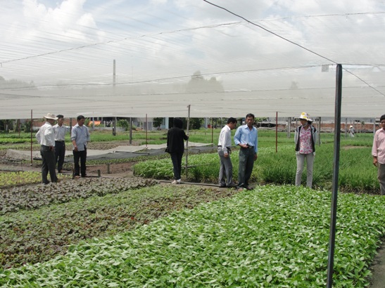 Cán bộ khuyến nông đi thăm và hướng dẫn kỹ thuật Mô hình Sản xuất rau hữu cơ sử dụng phân sinh học WEHG tại P. Tân Thiện, TX Đồng Xoài