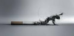 Liệu bạn có muốn cơ thể mình bị hủy hoại dần vì khói thuốc lá không? Chúng ta hãy nói không với thuốc lá!