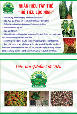 Chứng nhận thương hiệu Hồ tiêu Lộc Ninh