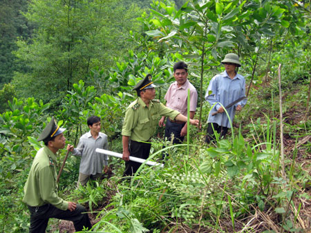 Quản lý bảo vệ rừng là nhiệm vụ trọng tâm, Chi trả dịch vụ môi trường rừng là động lực để hoàn thành  mục tiêu phát triển lâm nghiệp bền vững