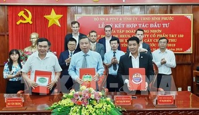 Đầu tư 1.700 tỷ đồng vào ba dự án nông nghiệp công nghệ cao tại Bình Phước