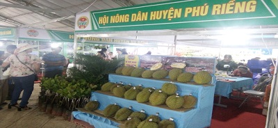 Chính sách hỗ trợ liên kết sản xuất và tiêu thụ sản phẩm nông nghiệp trên địa bàn tỉnh Bình Phước