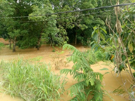 Mưa lớn gây ngập lụt khu vực Suối Rạt thành phố Đồng Xoài, huyện Đồng Phú vào sáng ngày 15/9/2020