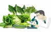 Thông báo có hiệu lực các biện pháp an toàn thực phẩm và kiểm dịch động, thực vật (sps) tháng 6/2024 của thành viên tổ chức thương mại thế giới wto