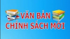 Nâng cao chất lượng hoạt động hội nông dân, đáp ứng yêu cầu giai đoạn mới