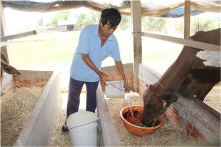 Hướng dẫn các biện pháp phòng chống thiếu nước cho đàn vật nuôi