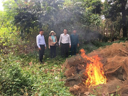 Tiêu hủy tang vật vi phạm hành chính trong khai thác thủy sản